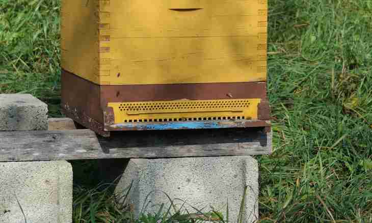 How to collect a beehive