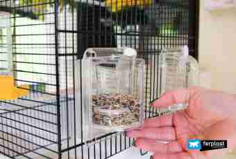 How to make a cage for a parrot