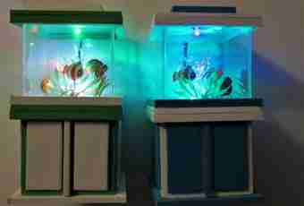 How to construct an aquarium