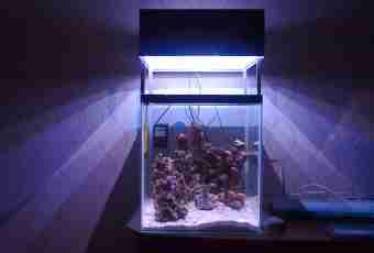 How to make the lamp for an aquarium