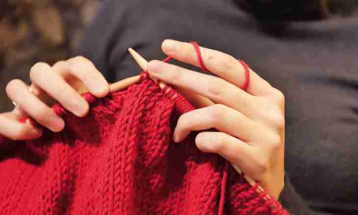 How to knit Scottish Folds