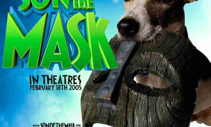What breed a dog from the movie "Mask"