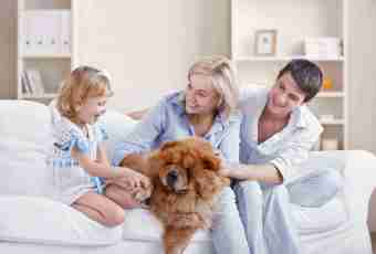 What breed of dog is better for the house with children