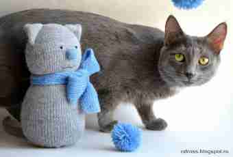 How to knit the British cats