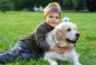 The best breeds of dog for children
