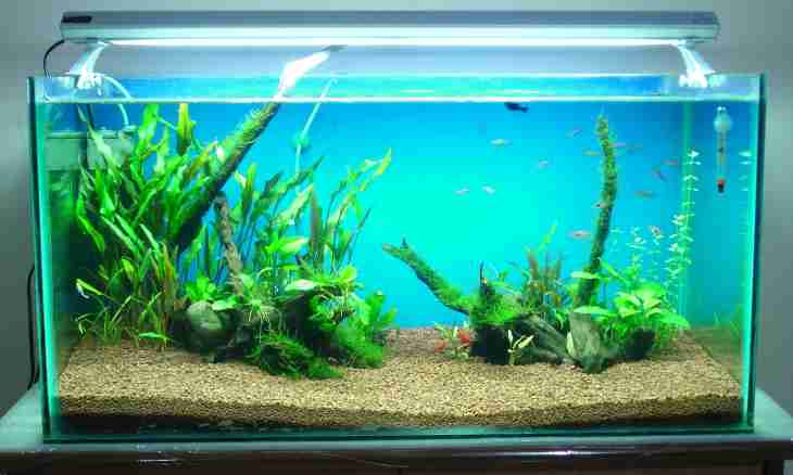 How to settle water for an aquarium
