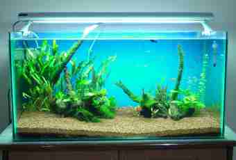 How to settle water for an aquarium