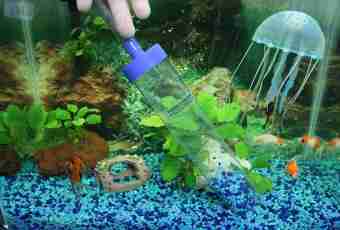 How to prepare water for an aquarium