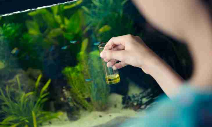 How to remove an aquarium