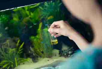 How to remove an aquarium
