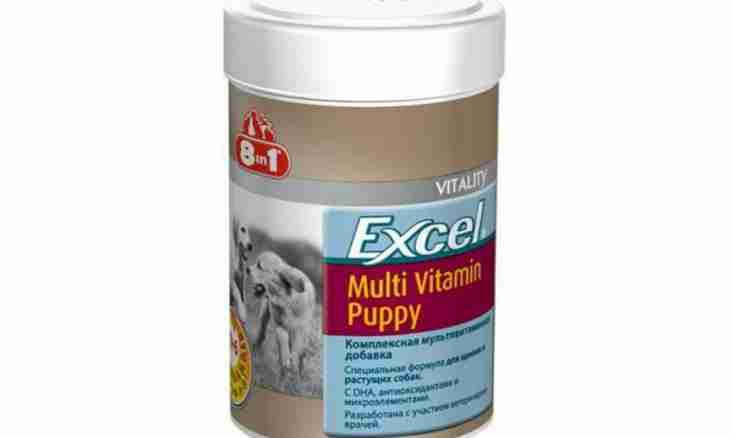 What vitamins are suitable for dogs of large breeds