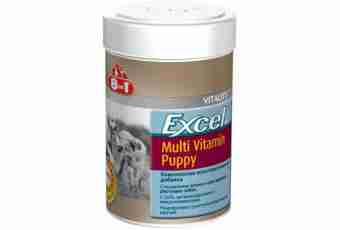 What vitamins are suitable for dogs of large breeds