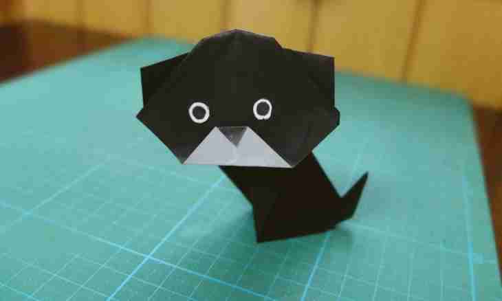 How to make a bow of paper for a cat