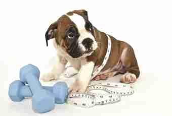How to determine puppy weight
