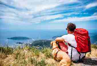 How to go abroad together with an animal