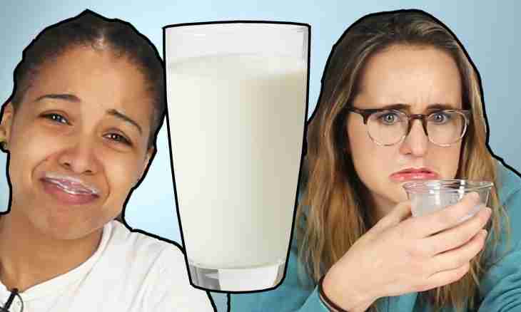 Why milk tastes bitter