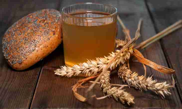 How to make kvass from rye flour