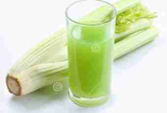 Celery juice: advantage, harm, contraindications