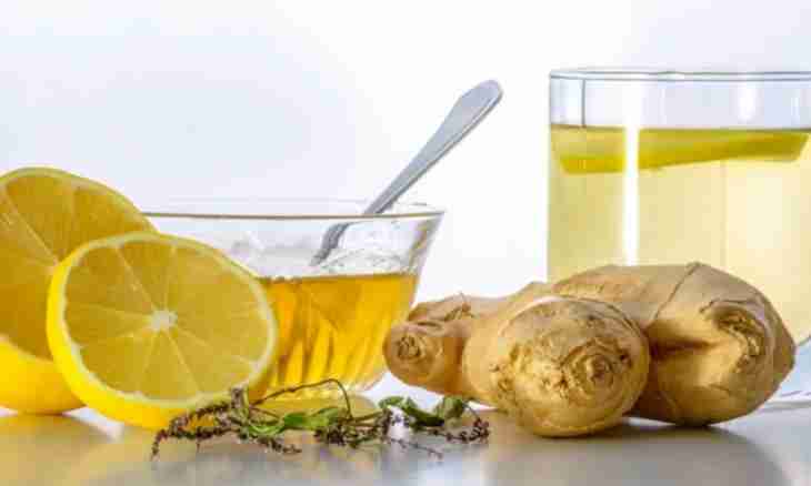 How to make drink from ginger for weight loss