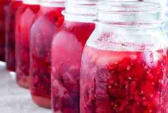 How to make raspberry wine