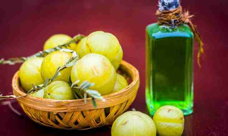 How to make domestic wine of a gooseberry