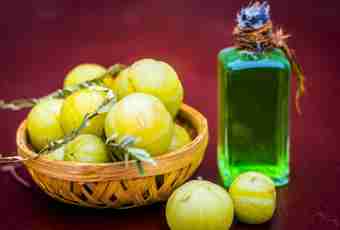 How to make domestic wine of a gooseberry