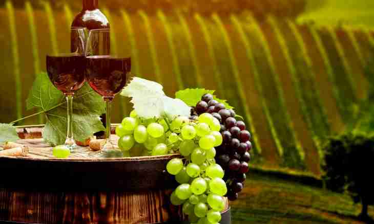 Grape wine - how to prepare