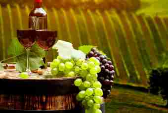 Grape wine - how to prepare