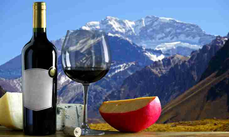 How to make mountain ash wine