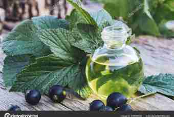 How to make blackcurrant tincture