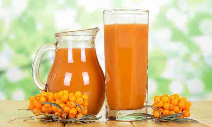 How to prepare sea-buckthorn juice for the winter