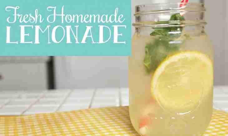 How to make the Dzydzybira lemonade