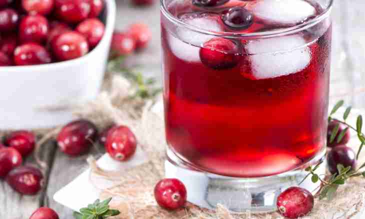 Fruit drink from a cranberry with honey