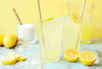 How to make lemonade in house conditions