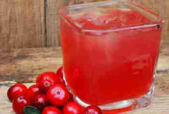 The simple recipe of kissel from a cranberry