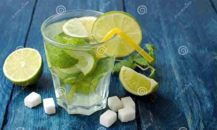 Tonic with mint and a lemon