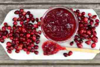 Cranberry kissel - the tasty and useful recipe