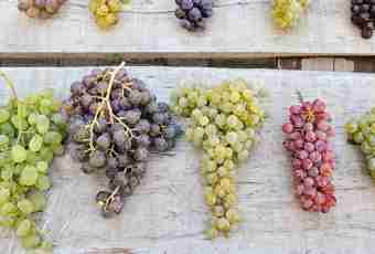 How to make grapes wine