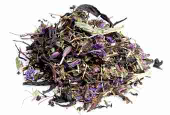 Useful properties and application of ivan-tea