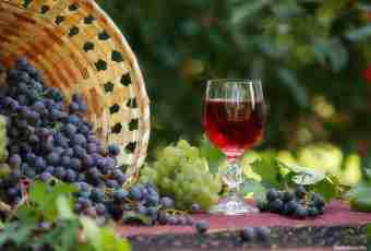 Recipe for wine from grapes Isabella