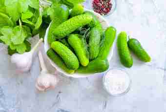 Fresh-salted cucumbers: main secrets of preparation