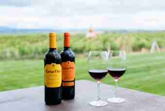 Features of Spanish wines