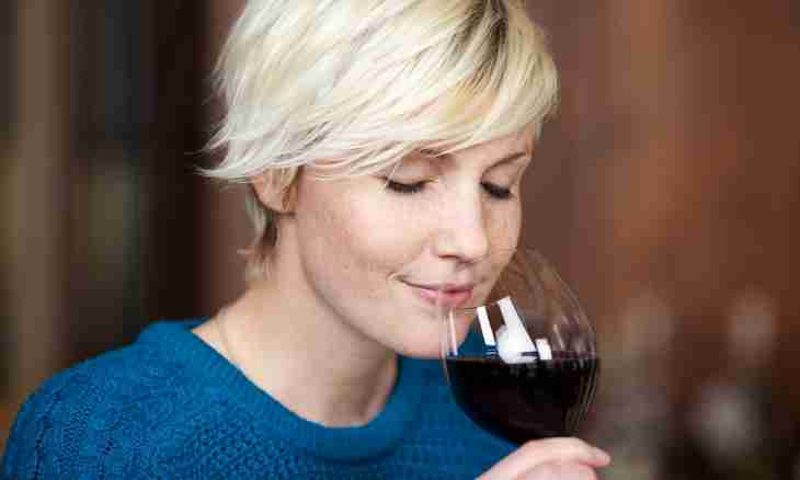 All about wines: what how to drink
