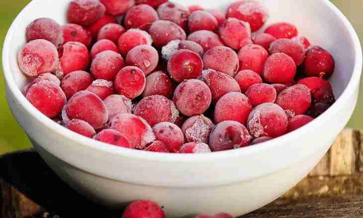 How many it is possible to store a frozen berries
