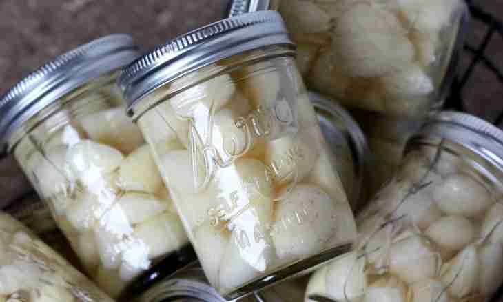 How to store garlic in the winter in the apartment