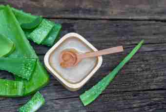 How to make tincture from an aloe