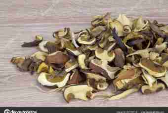Dry mushrooms: ways of a zasushka