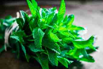 Useful properties of a peppermint