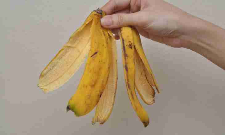 How to dry bananas