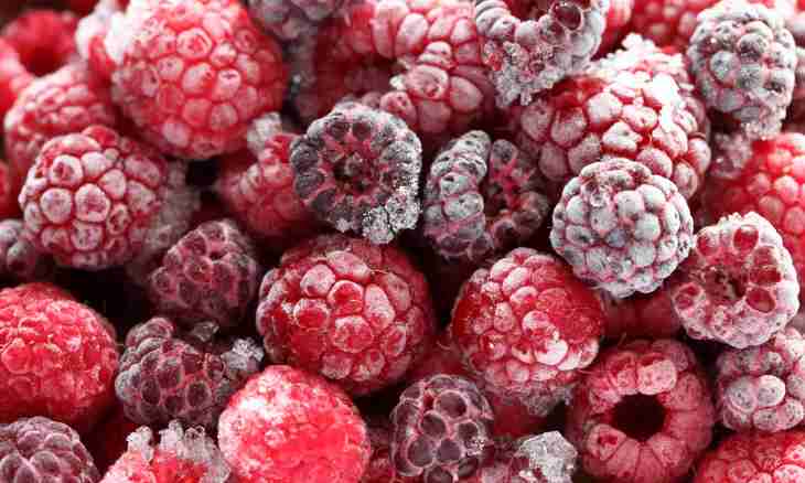 How to freeze fruit and berries